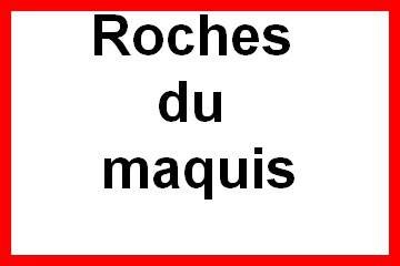 _Marche mardi